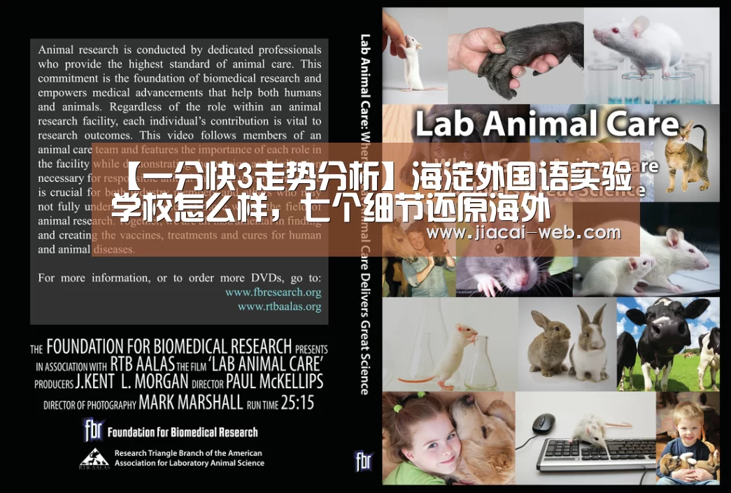【一分快3走势分析】海淀外国语实验学校怎么样,七个细节还原海外(图4) 一分快3开奖查询