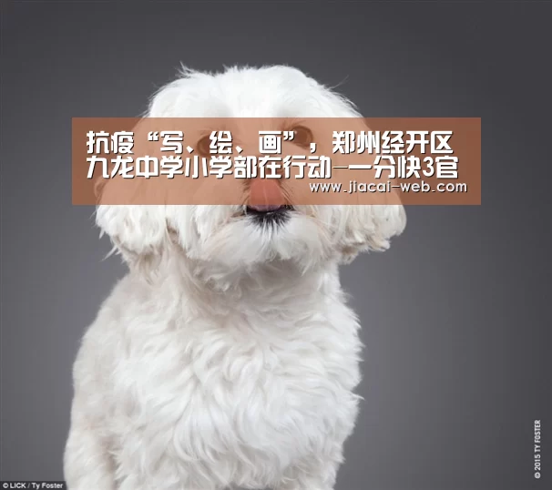 抗疫“写、绘、画”,郑州经开区九龙中学小学部在行动-一分快3官网(图1) 一分快3官网