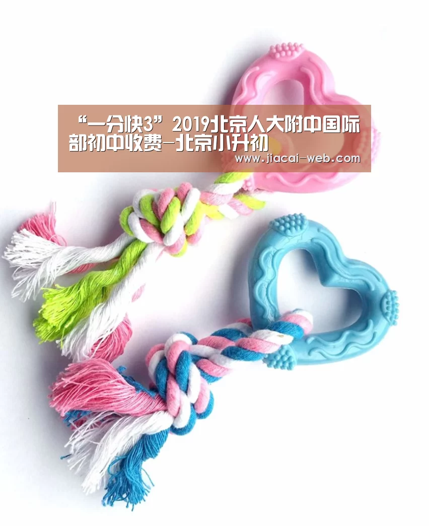 “一分快3”2019北京人大附中国际部初中收费-北京小升初(图1) 一分快3官网